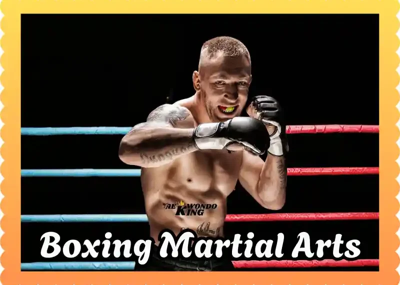 Is Boxing Martial Arts? A Complete Guide, taekwondoking