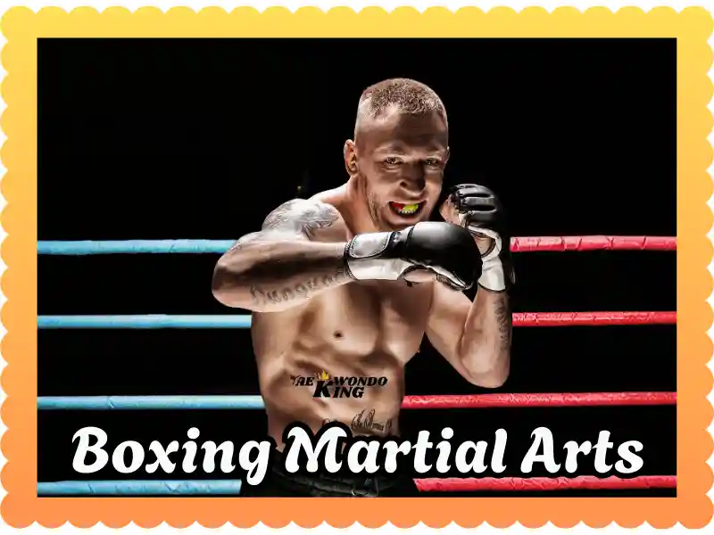 Is Boxing Martial Arts? A Complete Guide, taekwondoking