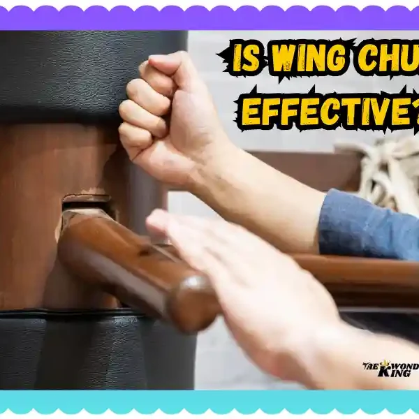 Is Wing Chun Effective? A Simple Guide to Its Power and Limitations, taekwondoking