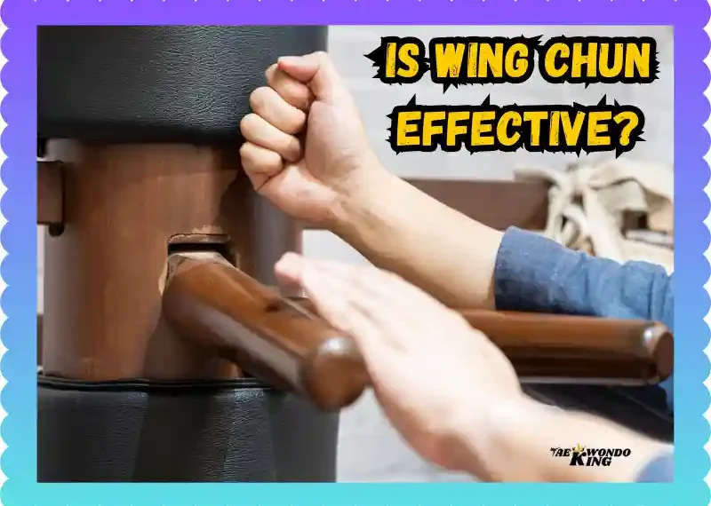 Is Wing Chun Effective? A Simple Guide to Its Power and Limitations, taekwondoking