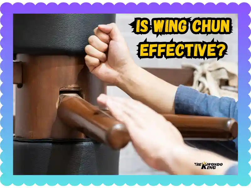 Is Wing Chun Effective? A Simple Guide to Its Power and Limitations, taekwondoking