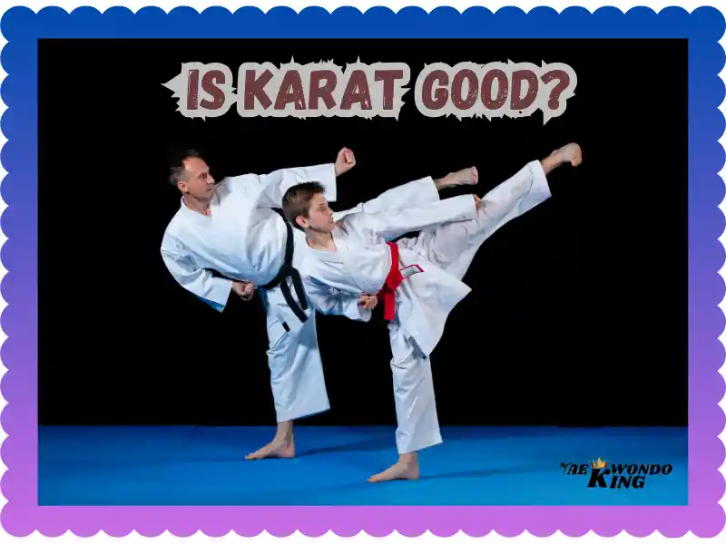 Is Karat Good? Exploring the Benefits of This Timeless Martial Art, taekwondoking 