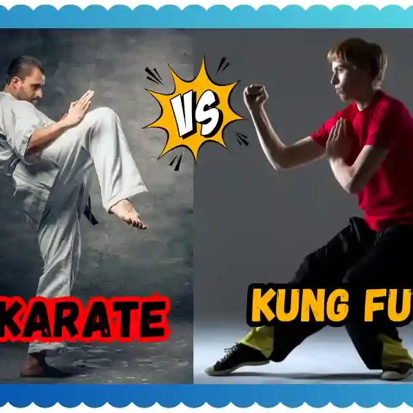Karate vs Kung Fu: A Comprehensive Comparison, taewkwondoking