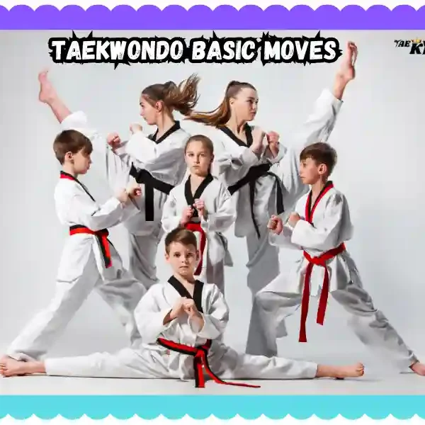 Mastering Taekwondo Basic Moves: A Comprehensive Guide, taekwondoking