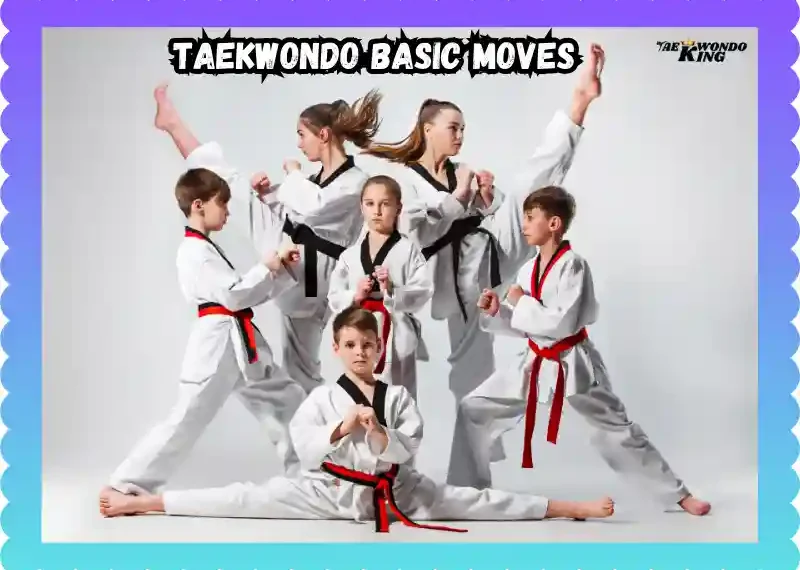 Mastering Taekwondo Basic Moves: A Comprehensive Guide, taekwondoking