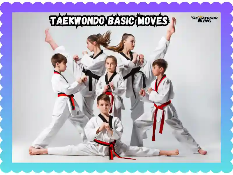 Mastering Taekwondo Basic Moves: A Comprehensive Guide, taekwondoking