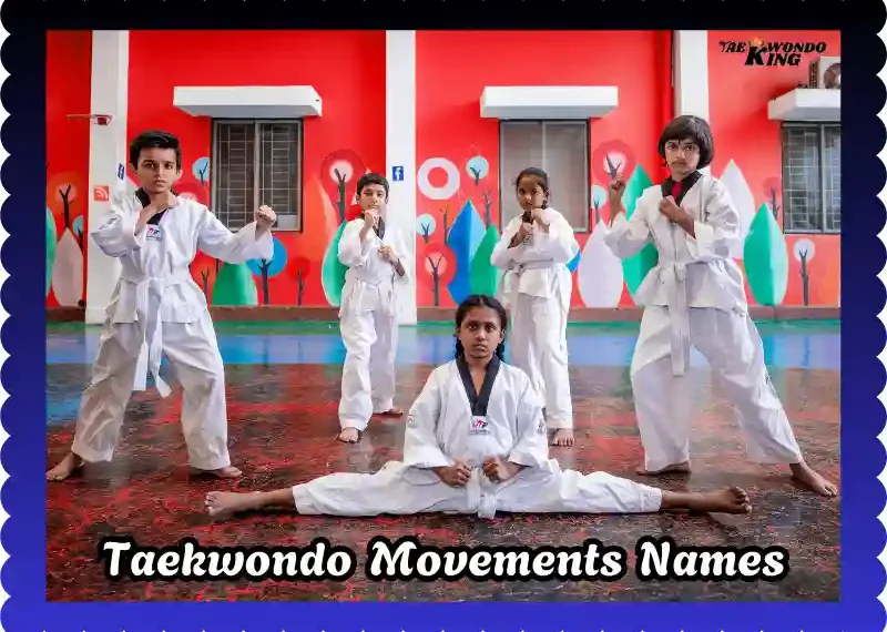 Taekwondo Movements Names: A Comprehensive Guide, taekwondoking