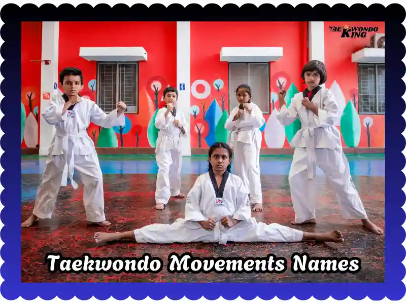 Taekwondo Movements Names: A Comprehensive Guide