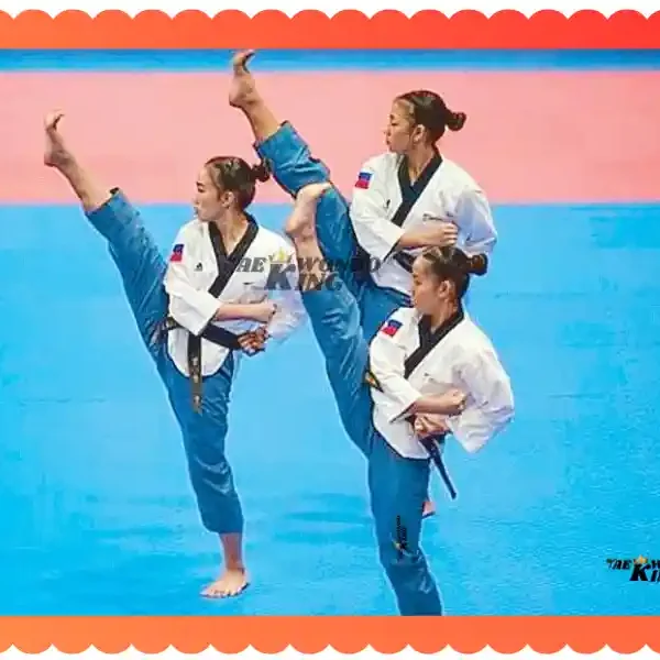 Taekwondo Poomsae List: Understanding the Essence of Forms, taekwondoking