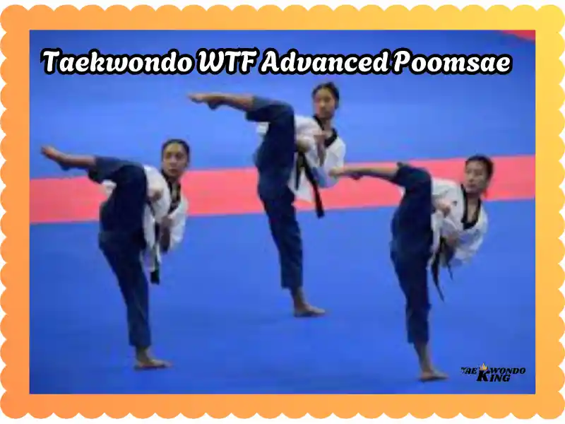 Taekwondo WTF Advanced Poomsae 9-17: A Comprehensive Guide, taekwondoking