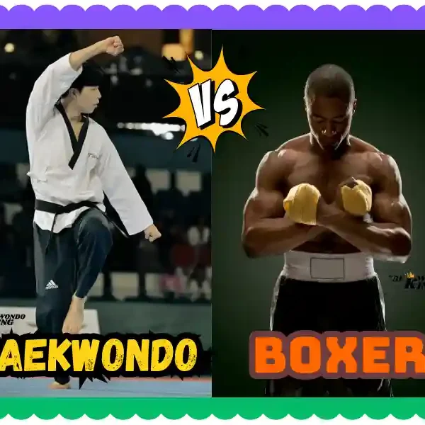 Taekwondo vs Boxer: A Comprehensive Comparison, taekwondoking