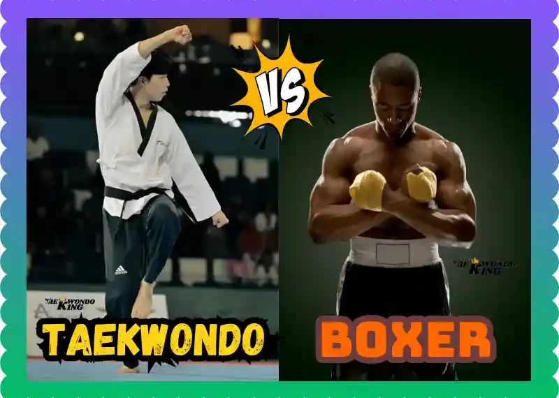 Taekwondo vs Boxer: A Comprehensive Comparison, taekwondoking