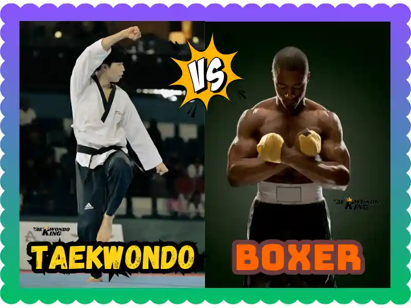 Taekwondo vs Boxer: A Comprehensive Comparison, taekwondoking