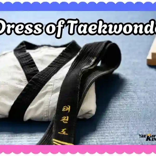 The Dress of Taekwondo: A Comprehensive Guide, taekwondoking