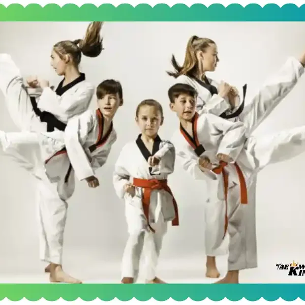 What Are the Basics of Taekwondo? taekwondoking