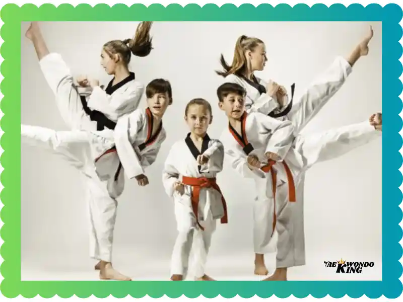 What Are the Basics of Taekwondo? taekwondoking