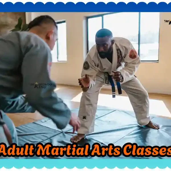 Adult Martial Arts Classes – The New Extra Ultimate Fitness Journey! taekwondoking