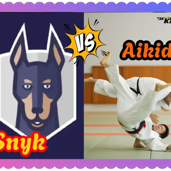 Aikido vs Snyk: A Unique Comparison of Martial Arts and Cybersecurity, taekwondoking