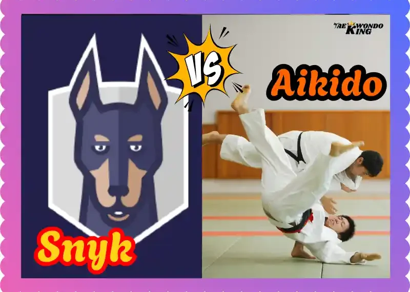 Aikido vs Snyk: A Unique Comparison of Martial Arts and Cybersecurity, taekwondoking