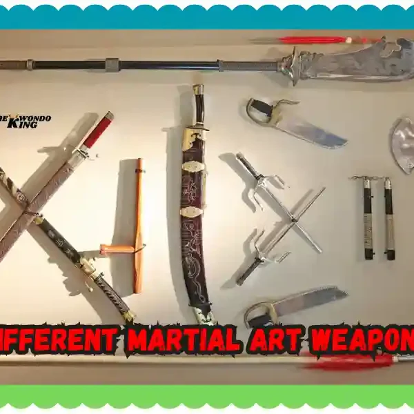 Different Martial Art Weapons: A Complete Guide to Tools of Combat, taekwondoking