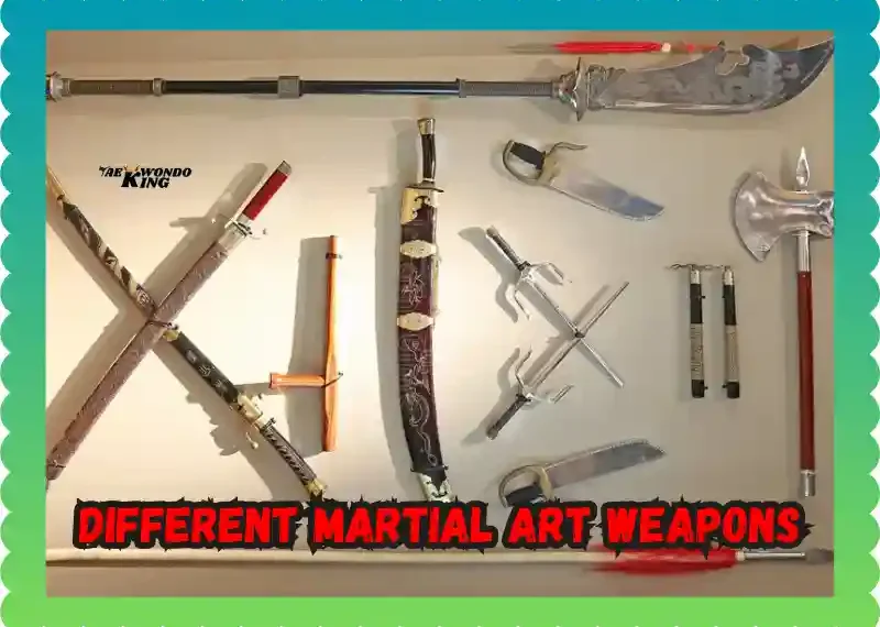 Different Martial Art Weapons: A Complete Guide to Tools of Combat, taekwondoking