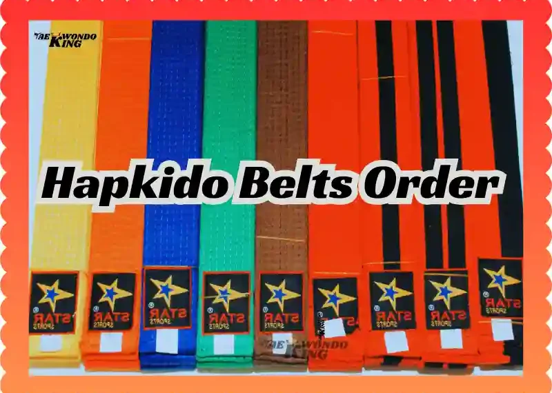 Hapkido Belts Order: A Complete Guide, taekwondoking