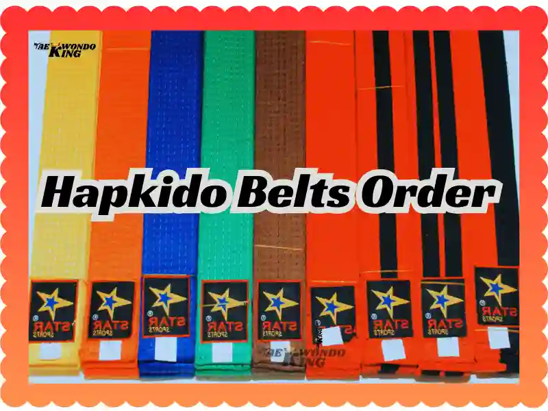 Hapkido Belts Order: A Complete Guide, taekwondoking