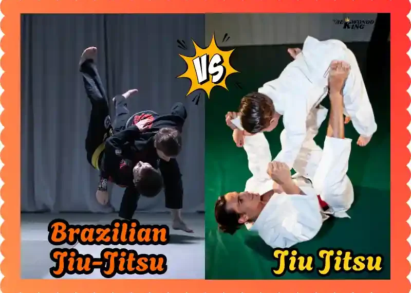 Jiu Jitsu vs BJJ: Ultimate Hack to New Fighter’s Choice, taekwondoking