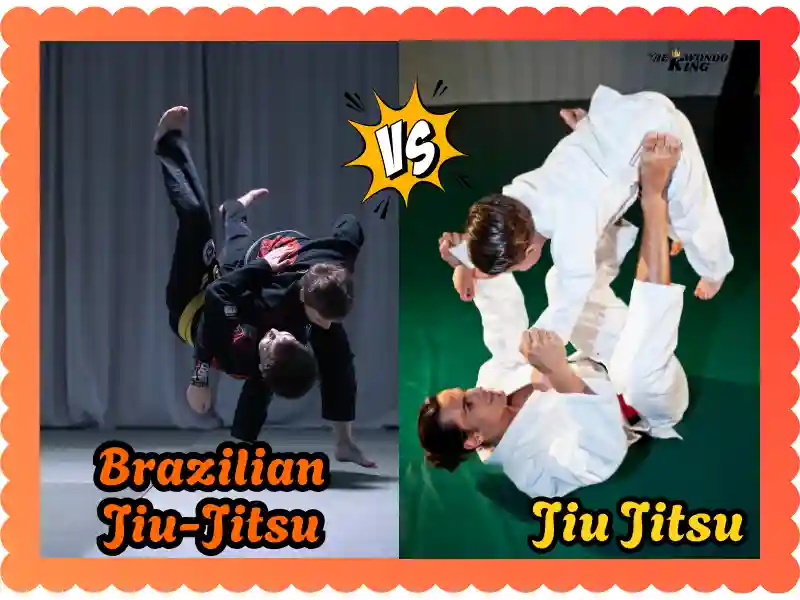 Jiu Jitsu vs BJJ: Ultimate Hack to New Fighter’s Choice, taekwondoking