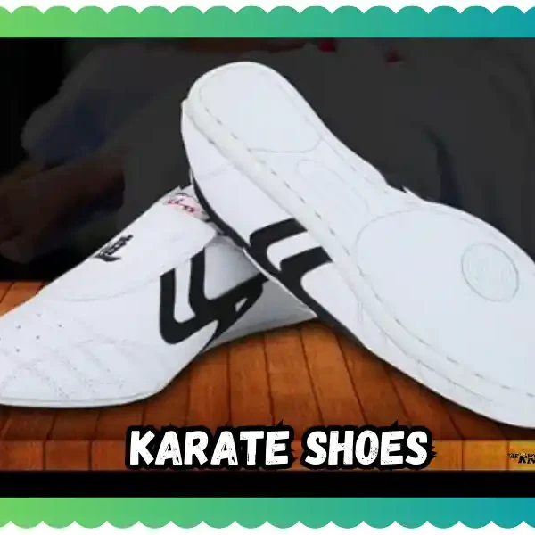 Karate Shoes: Ultimate Guide to Choose Best Footwear for Karate, taekwondoking