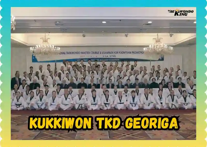 Kukkiwon TKD Georiga: The Heart of Taekwondo Patterns, taekwondoking