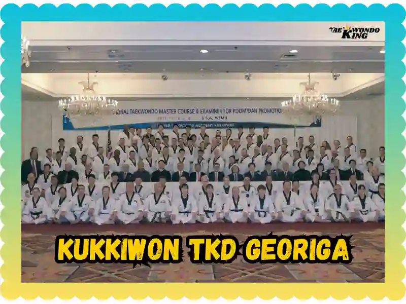 Kukkiwon TKD Georiga: The Heart of Taekwondo Patterns, taekwondoking 