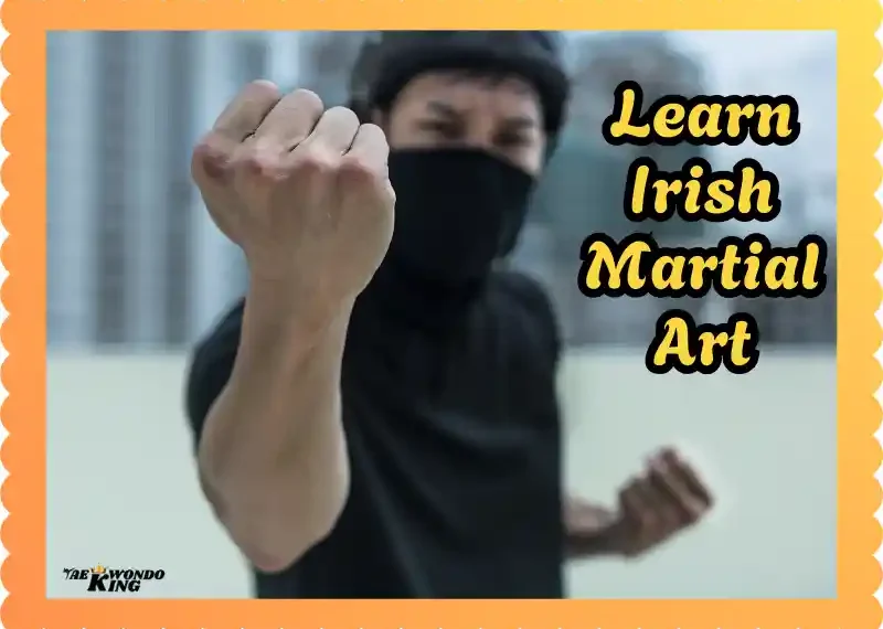 Learn Irish Martial Art Online & Unlock A Awesome Hidden Power! Taekwondoking