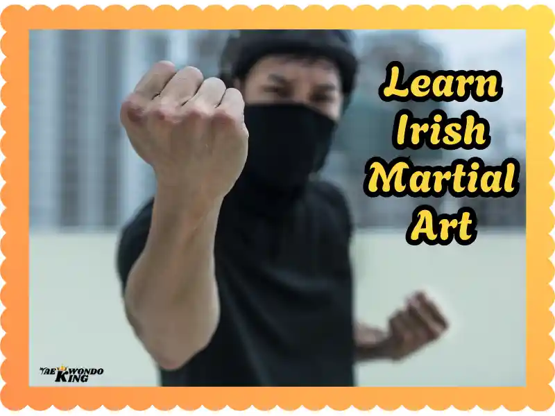 Learn Irish Martial Art Online & Unlock A Awesome Hidden Power! Taekwondoking