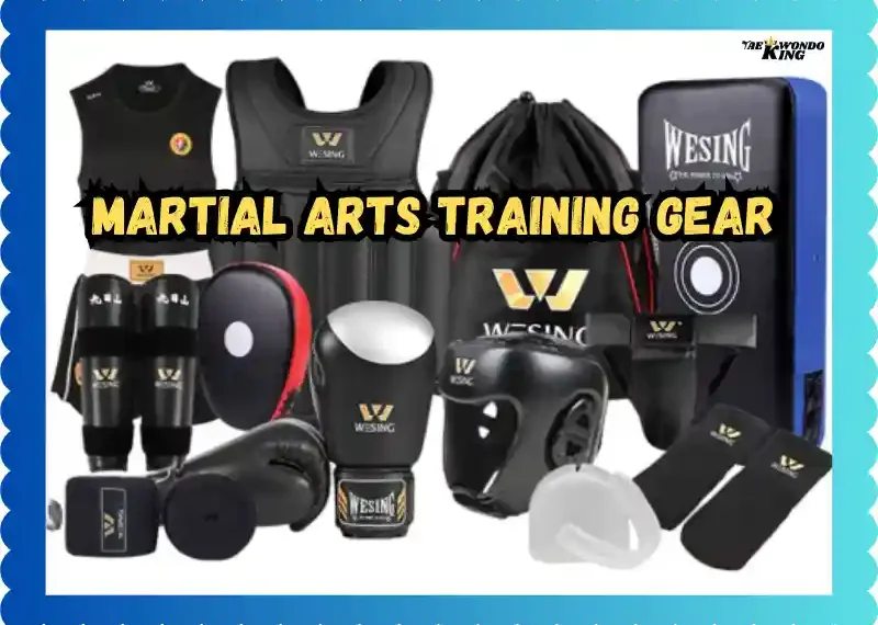 Martial Arts Training Gear – The Ultimate Guide for Every Fighter, taekwondoking