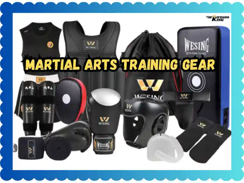 Martial Arts Training Gear – The Ultimate Guide for Every Fighter, taekwondoking