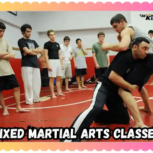 Mixed Martial Arts Classes That Double Change Your Life! taekwondoking