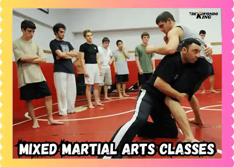 Mixed Martial Arts Classes That Double Change Your Life! taekwondoking