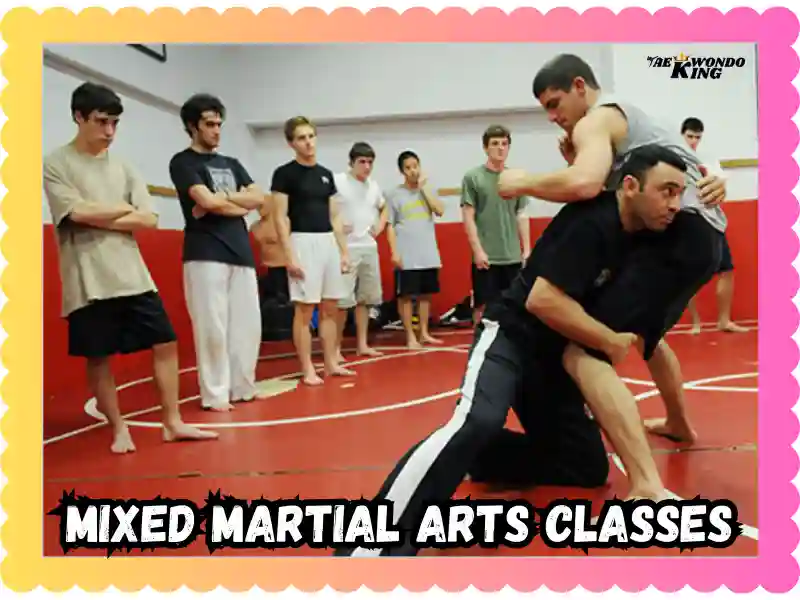 Mixed Martial Arts Classes That Double Change Your Life! taekwondoking