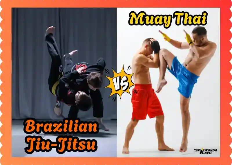 Muay Thai vs BJJ: The Truth About Fighting! taekwondoking