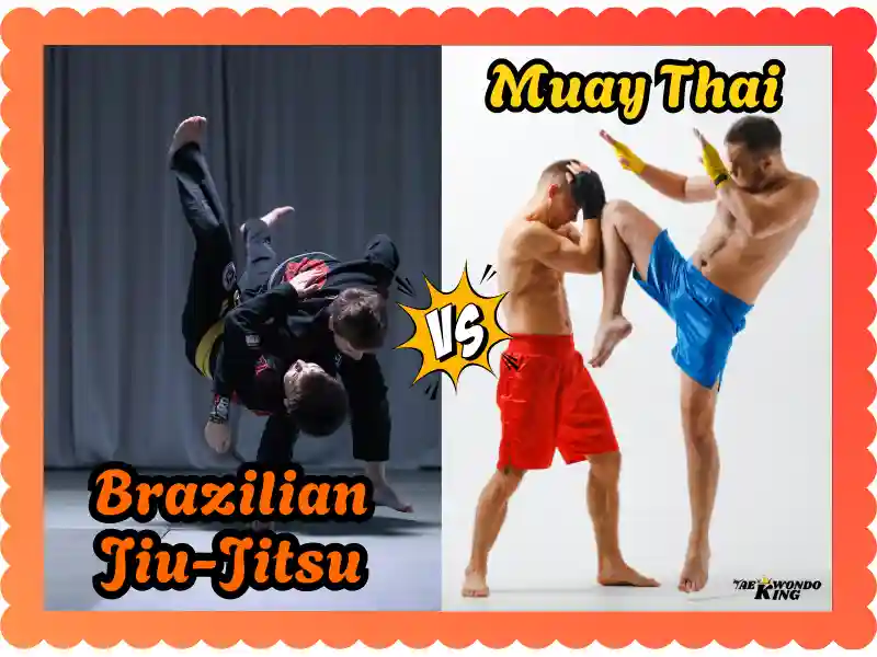 Muay Thai vs BJJ: The Truth About Fighting! taekwondoking