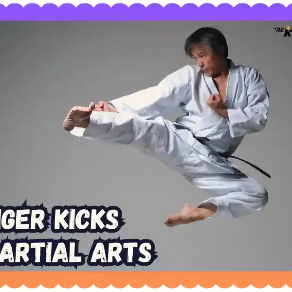 Need Destroy to Combat Skills at Tiger Kicks Martial Arts! taekwondoking
