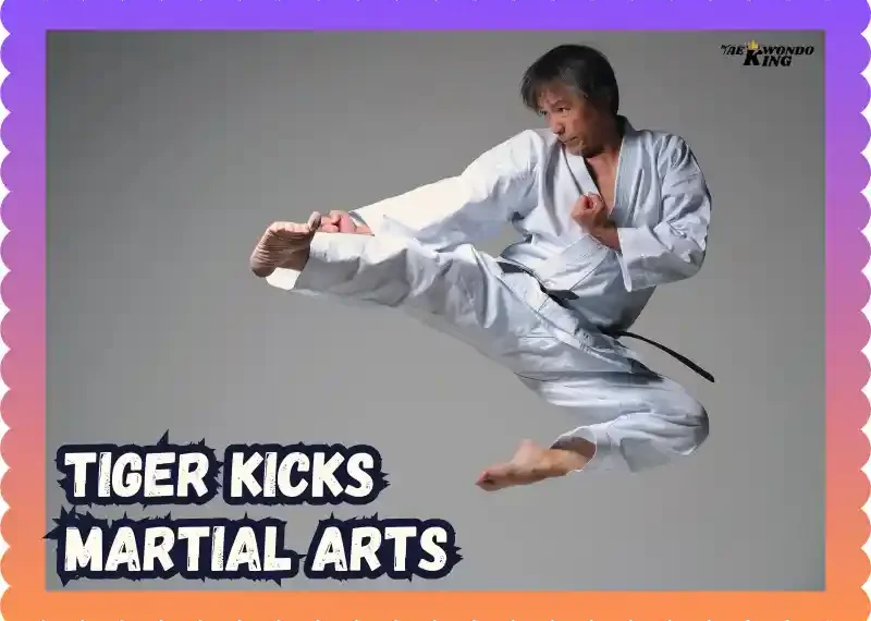 Need Destroy to Combat Skills at Tiger Kicks Martial Arts! taekwondoking