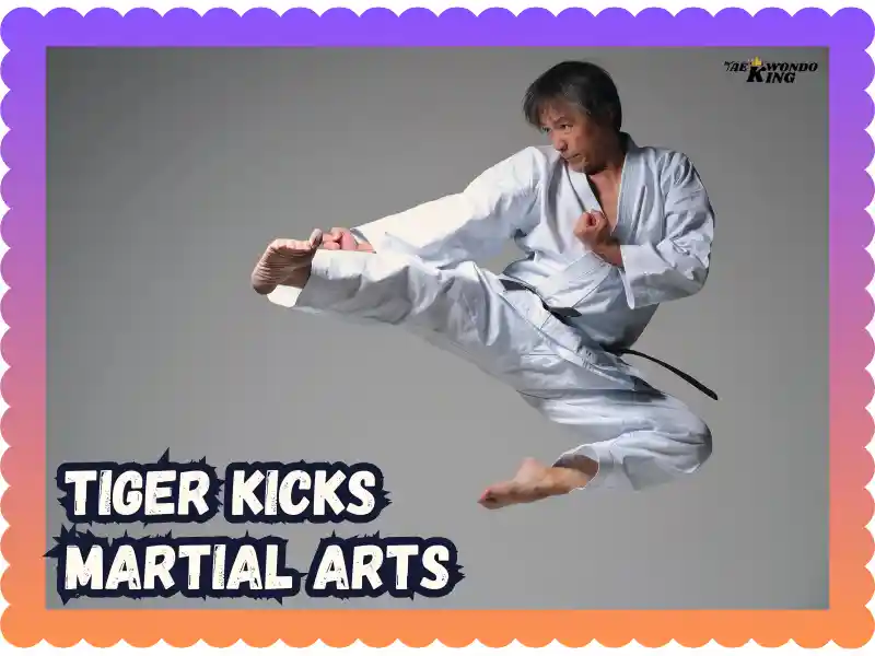 Need Destroy to Combat Skills at Tiger Kicks Martial Arts! taekwondoking