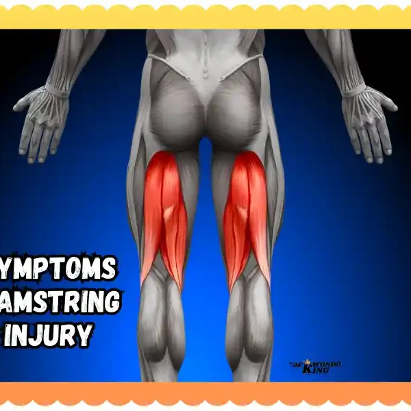 Symptoms Hamstring Injury: A Complete New Guide In The World, taekwondoking