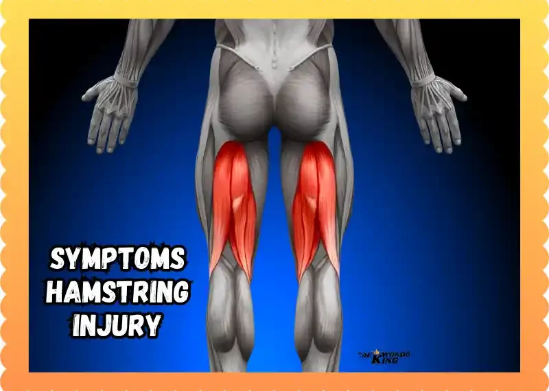 Symptoms Hamstring Injury: A Complete New Guide In The World, taekwondoking