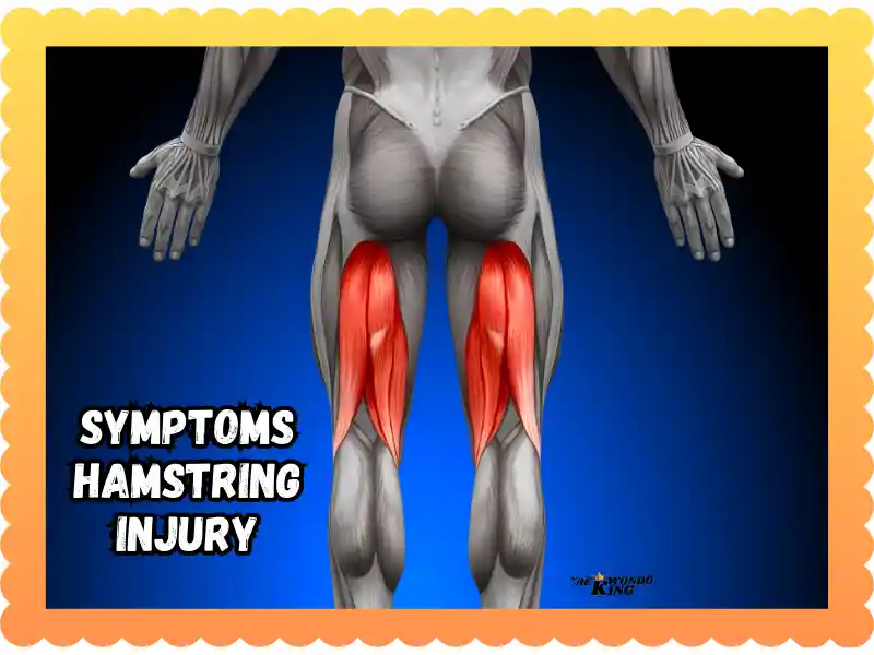 Symptoms Hamstring Injury: A Complete New Guide In The World, taekwondoking 