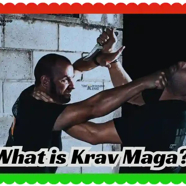 What is Krav Maga? The Truth About Combat Training! taekwondoking