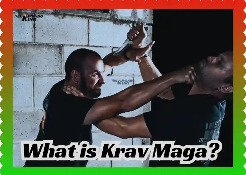 What is Krav Maga? The Truth About Combat Training! taekwondoking