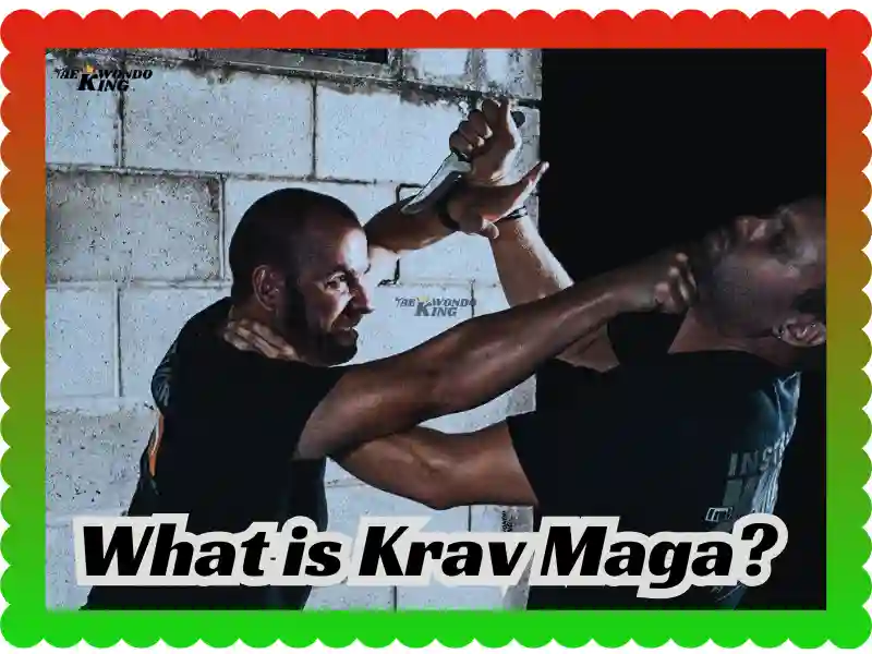 What is Krav Maga? The Truth About Combat Training! taekwondoking